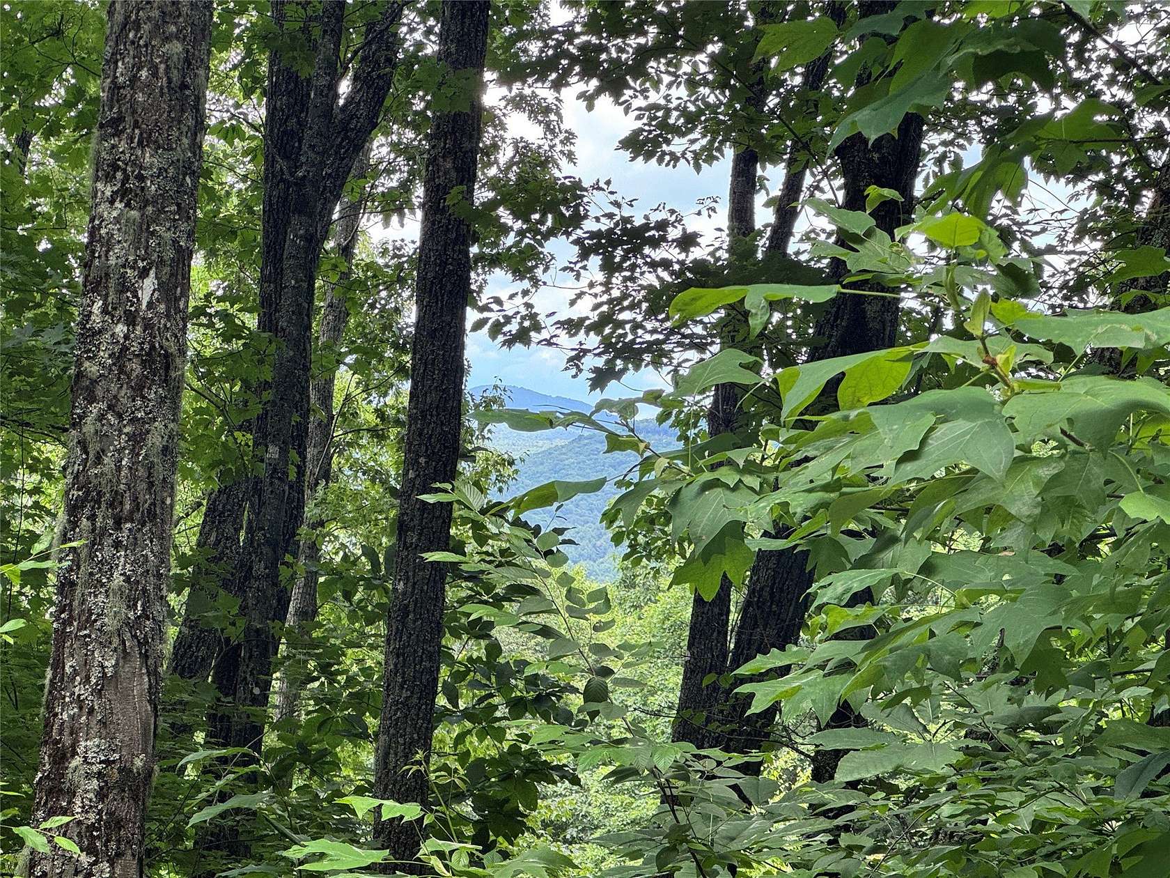 0.8 Acres of Residential Land for Sale in Highlands, North Carolina