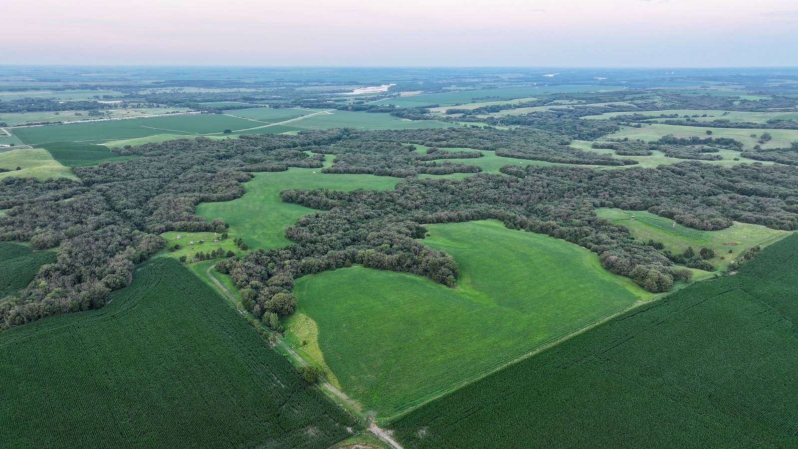 120 Acres of Land for Sale in Genoa, Nebraska