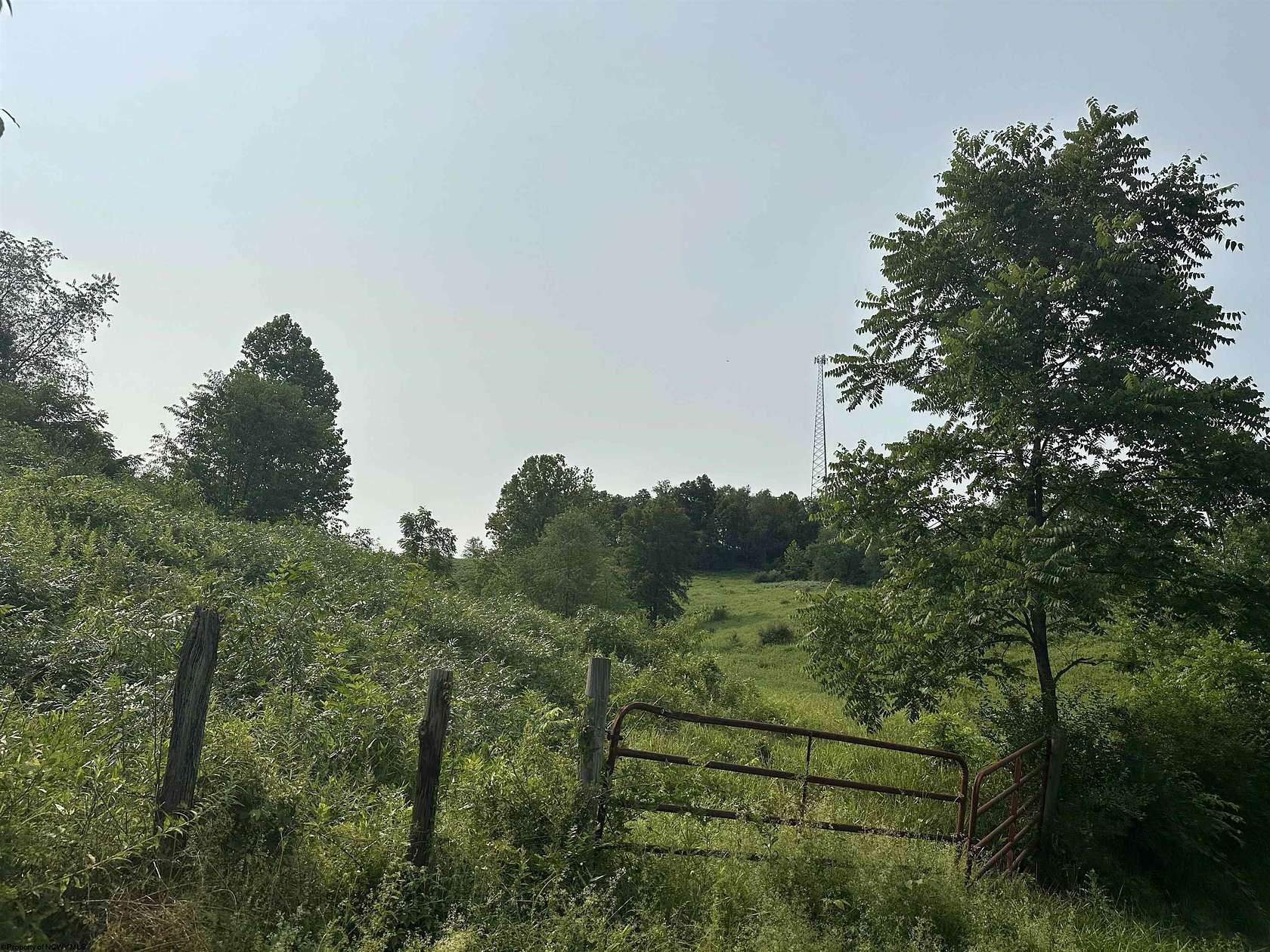 10 Acres of Land for Sale in French Creek, West Virginia