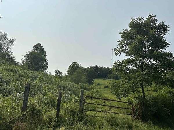 10 Acres of Land for Sale in French Creek, West Virginia