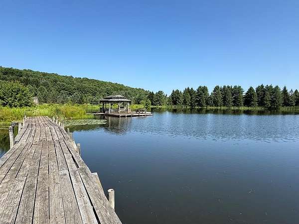 46.1 Acres of Recreational Land with Home for Sale in Covington, Pennsylvania