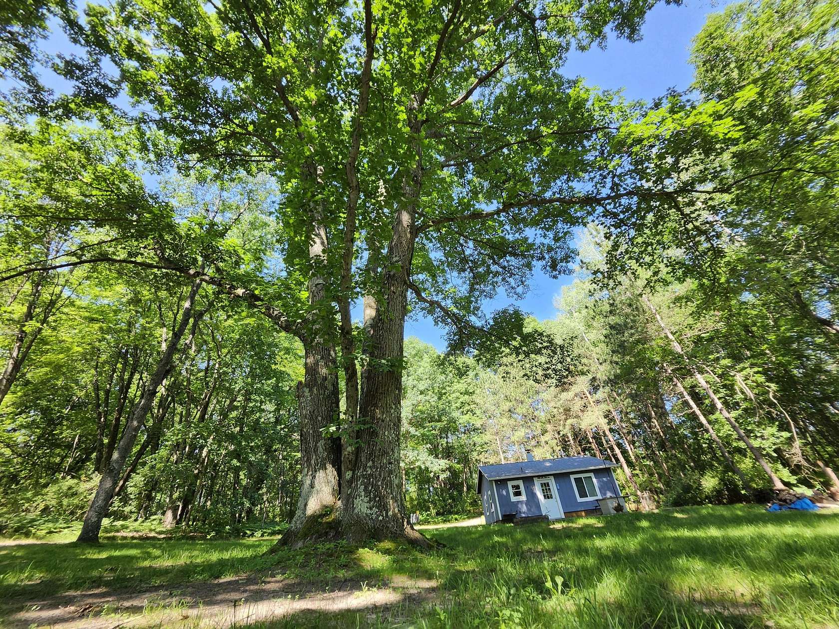 40 Acres of Recreational Land with Home for Sale in Custer, Michigan