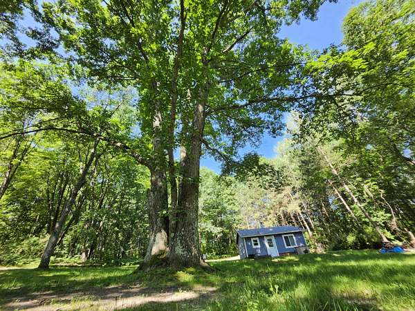 40 Acres of Recreational Land with Home for Sale in Custer, Michigan