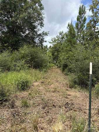 21 Acres of Recreational & Residential Land for Sale in McDavid, Florida
