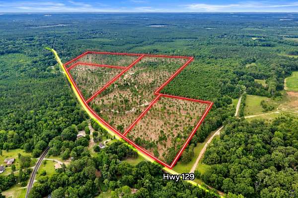 10 Acres of Residential Land for Sale in Dry Branch, Georgia