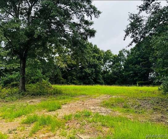 1.5 Acres of Residential Land for Sale in Eclectic, Alabama