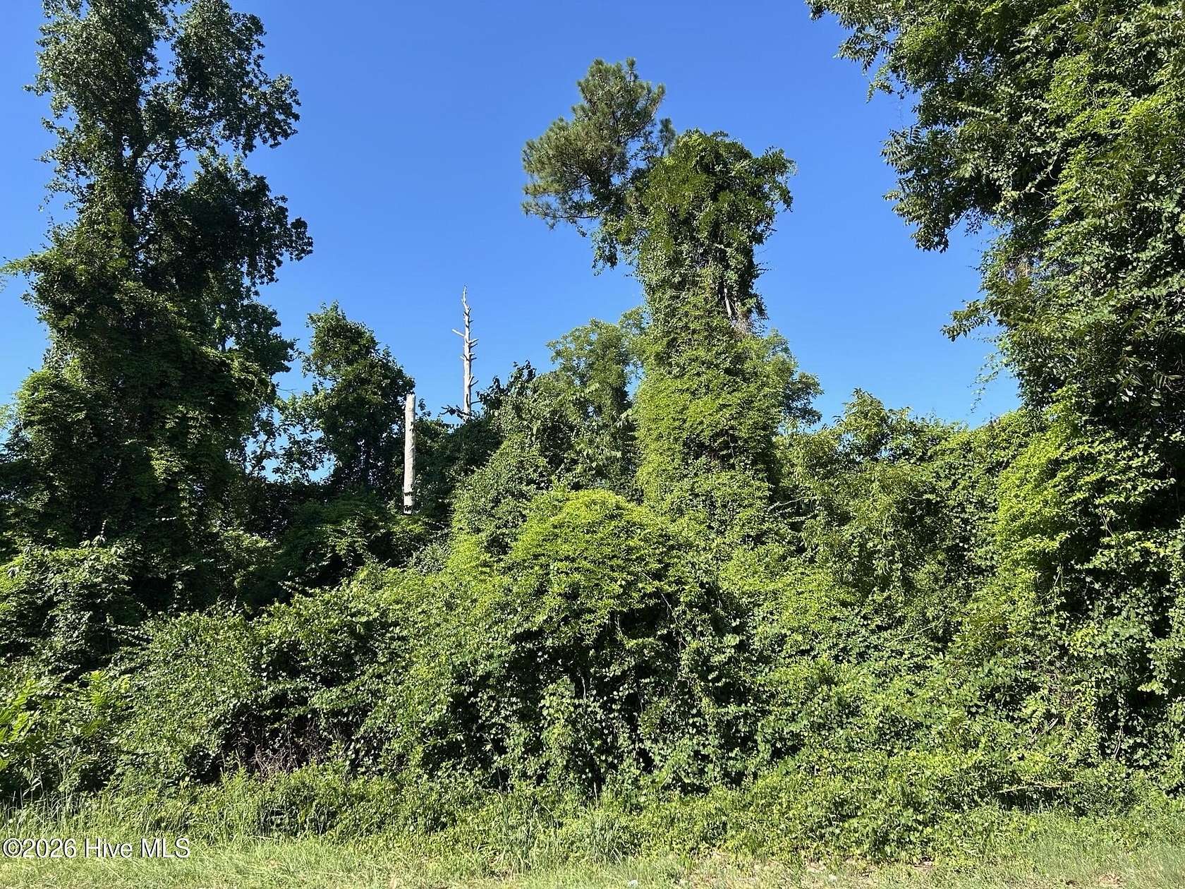0.88 Acres of Land for Sale in Maxton, North Carolina
