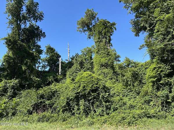 0.88 Acres of Land for Sale in Maxton, North Carolina