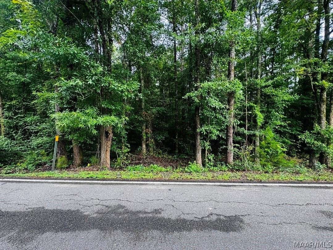 1.28 Acres of Residential Land for Sale in Eclectic, Alabama