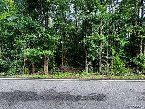 1.28 Acres of Residential Land for Sale in Eclectic, Alabama