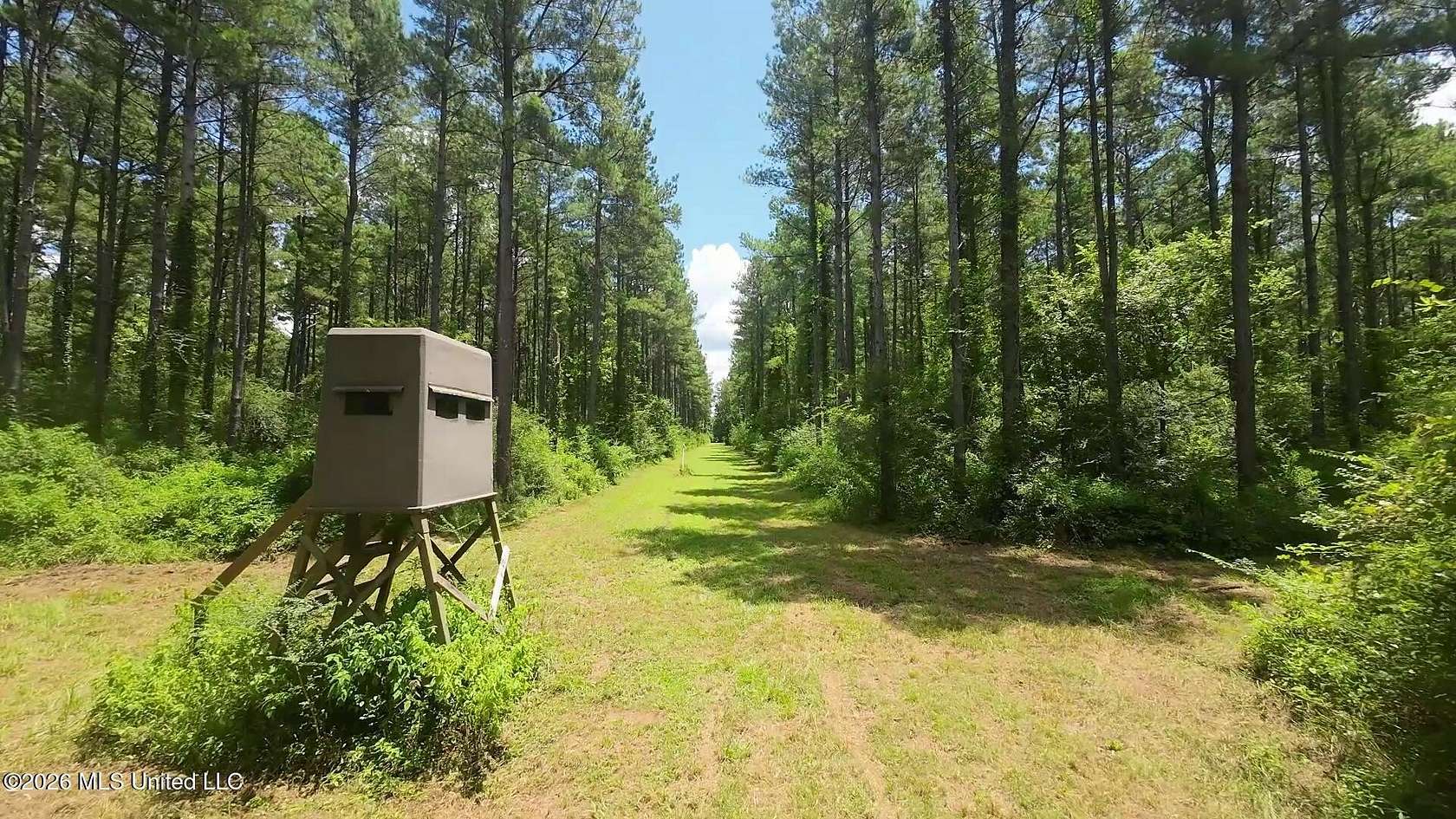 397 Acres of Recreational Land for Sale in Mount Olive, Mississippi