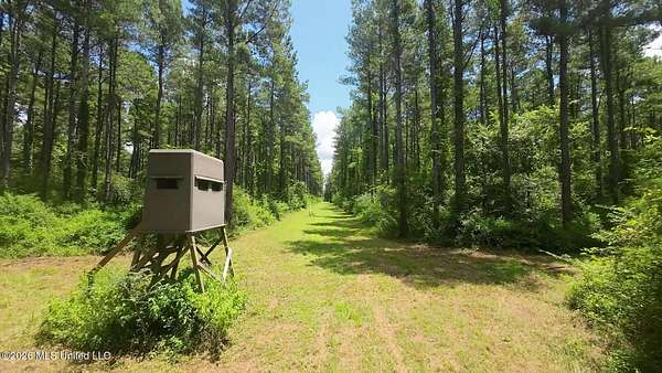 397 Acres of Recreational Land for Sale in Mount Olive, Mississippi