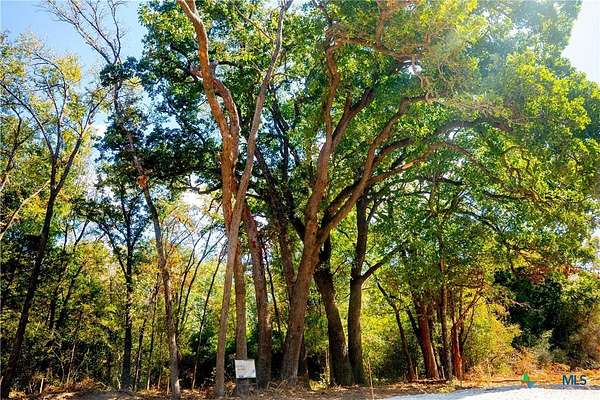 1 Acre of Residential Land for Sale in Hearne, Texas