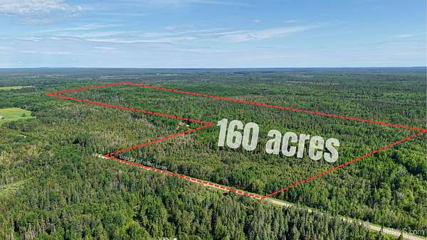160 Acres of Recreational & Residential Land for Sale in Newberry, Michigan