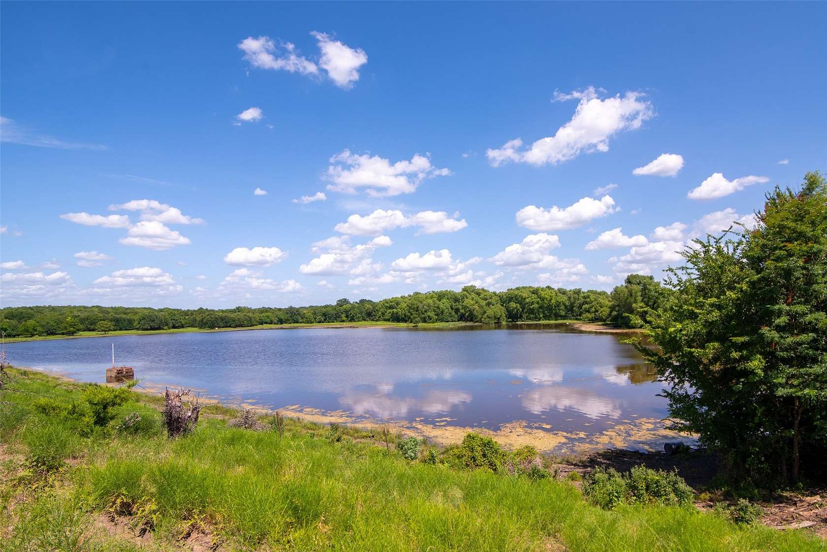 82.3 Acres of Agricultural & Residential Land for Sale in Farmersville, Texas