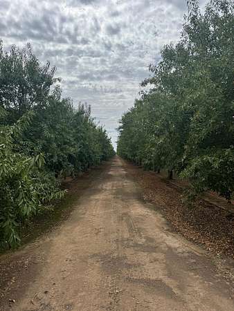 171 Acres of Land for Sale in Chowchilla, California