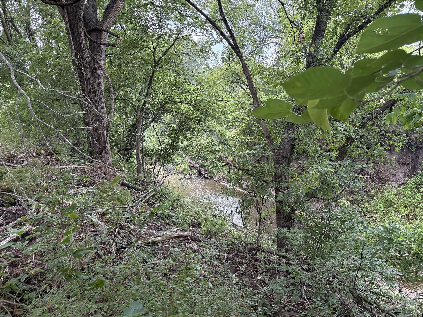 8 Acres of Land for Sale in Purdon, Texas