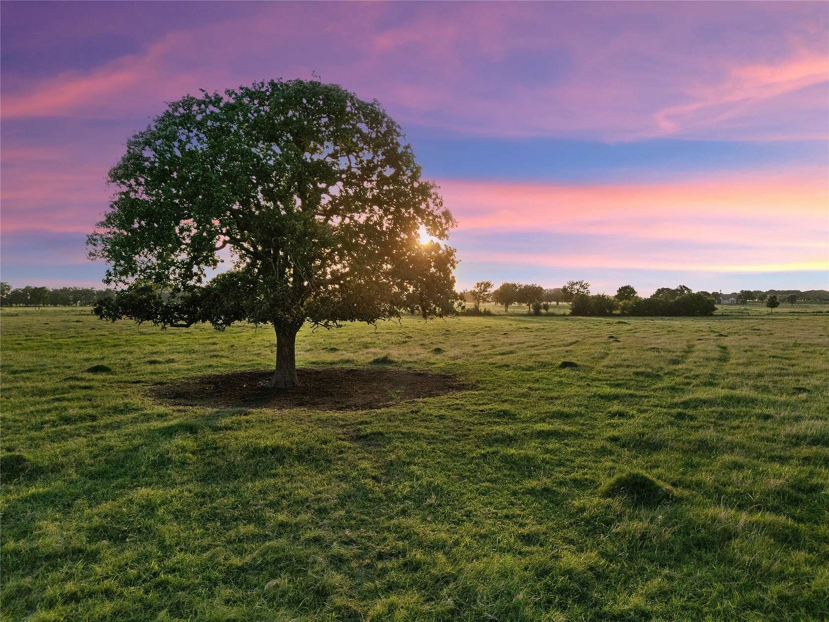 38.5 Acres of Land for Sale in Axtell, Texas