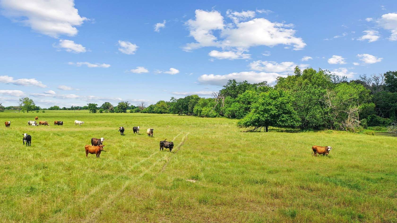 222 Acres of Land for Sale in Greenville, Texas