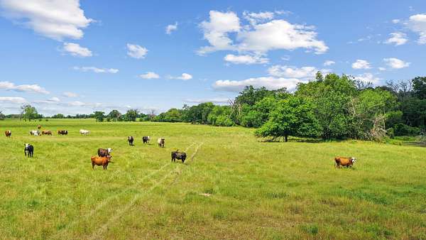 222 Acres of Land for Sale in Greenville, Texas