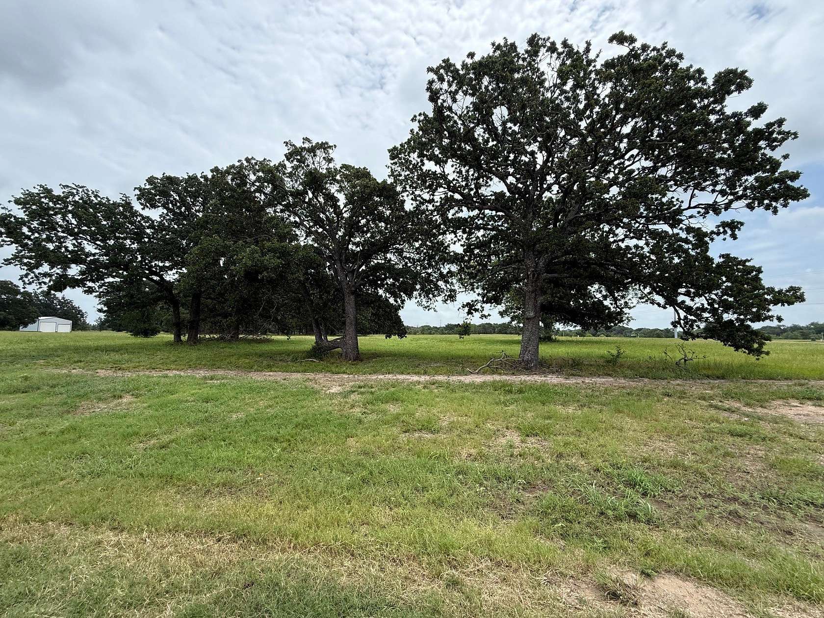1 Acre of Residential Land for Sale in Dodd City, Texas