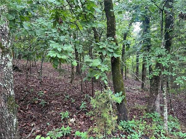 6.84 Acres of Land for Sale in Poteau, Oklahoma