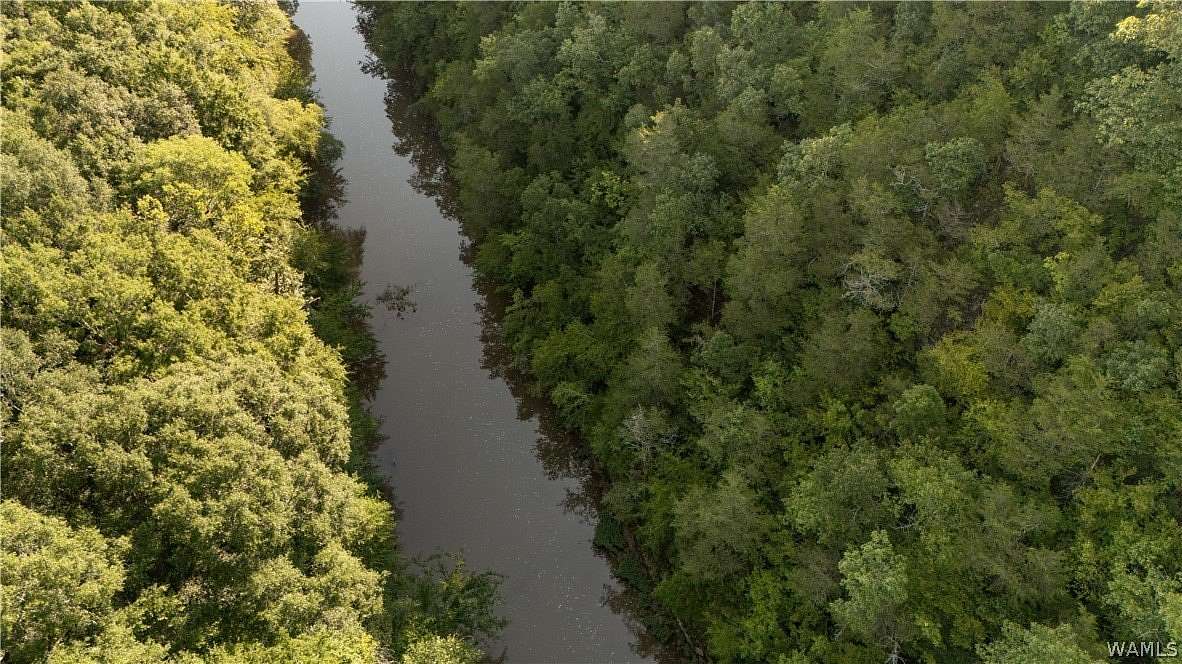 38 Acres of Recreational & Residential Land for Sale in Berry, Alabama