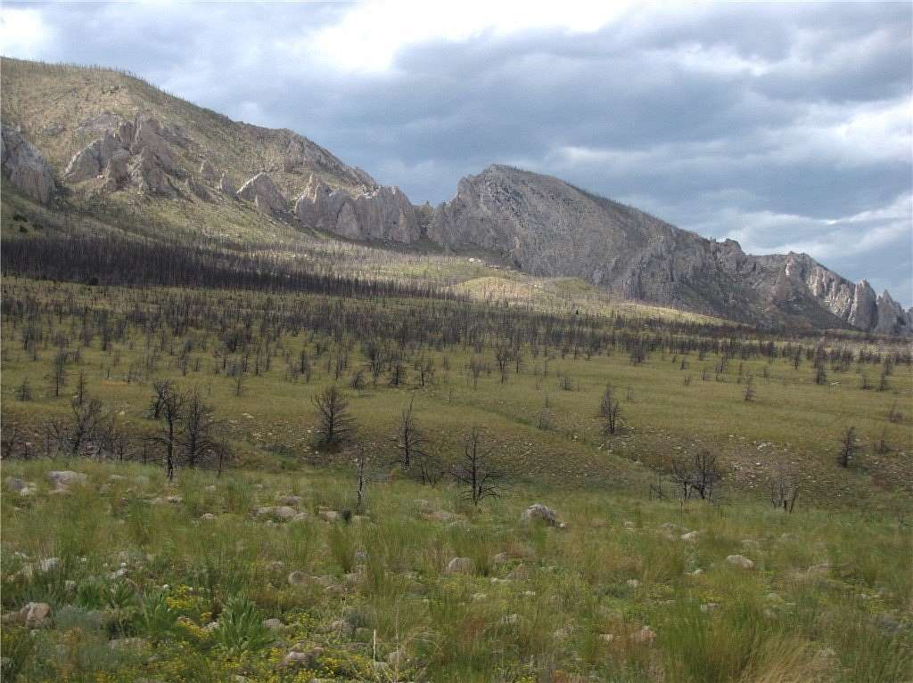 20.1 Acres of Land for Sale in Belfry, Montana