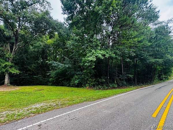 1.29 Acres of Residential Land for Sale in Eclectic, Alabama