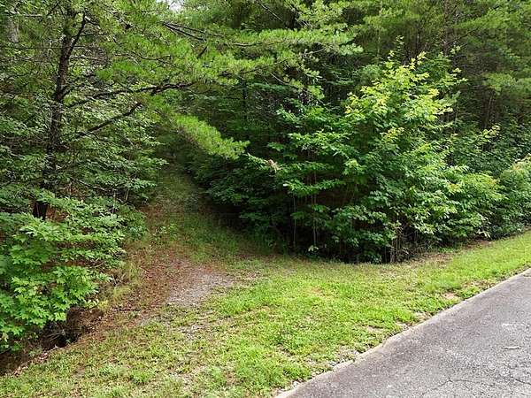 3 Acres of Residential Land for Sale in Ellijay, Georgia