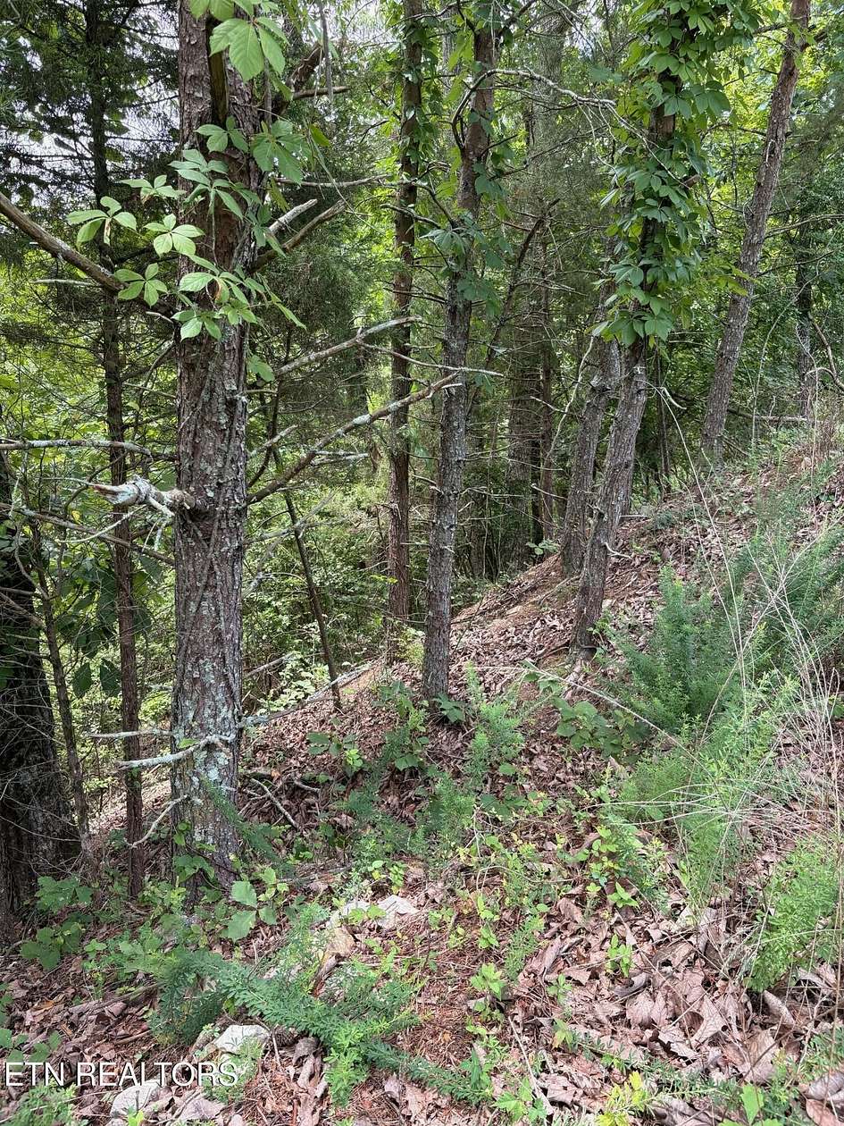 1 Acre of Residential Land for Sale in Rockwood, Tennessee