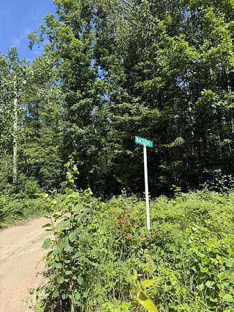 Land for Sale in Gaylord, Michigan