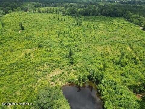 40 Acres of Recreational & Residential Land for Sale in Mendenhall, Mississippi