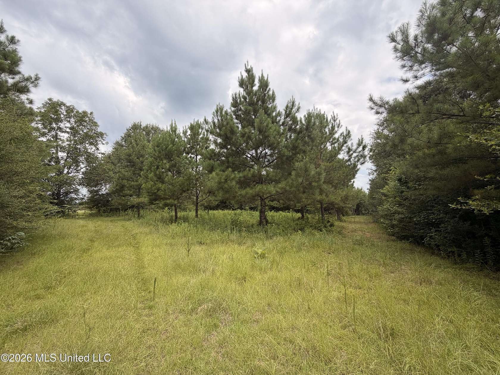 46 Acres of Recreational Land for Sale in Jayess, Mississippi