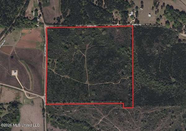 46 Acres of Recreational Land for Sale in Jayess, Mississippi
