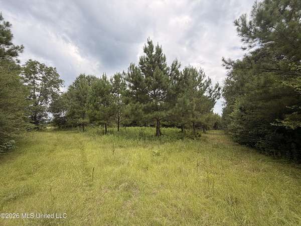 46 Acres of Recreational Land for Sale in Jayess, Mississippi