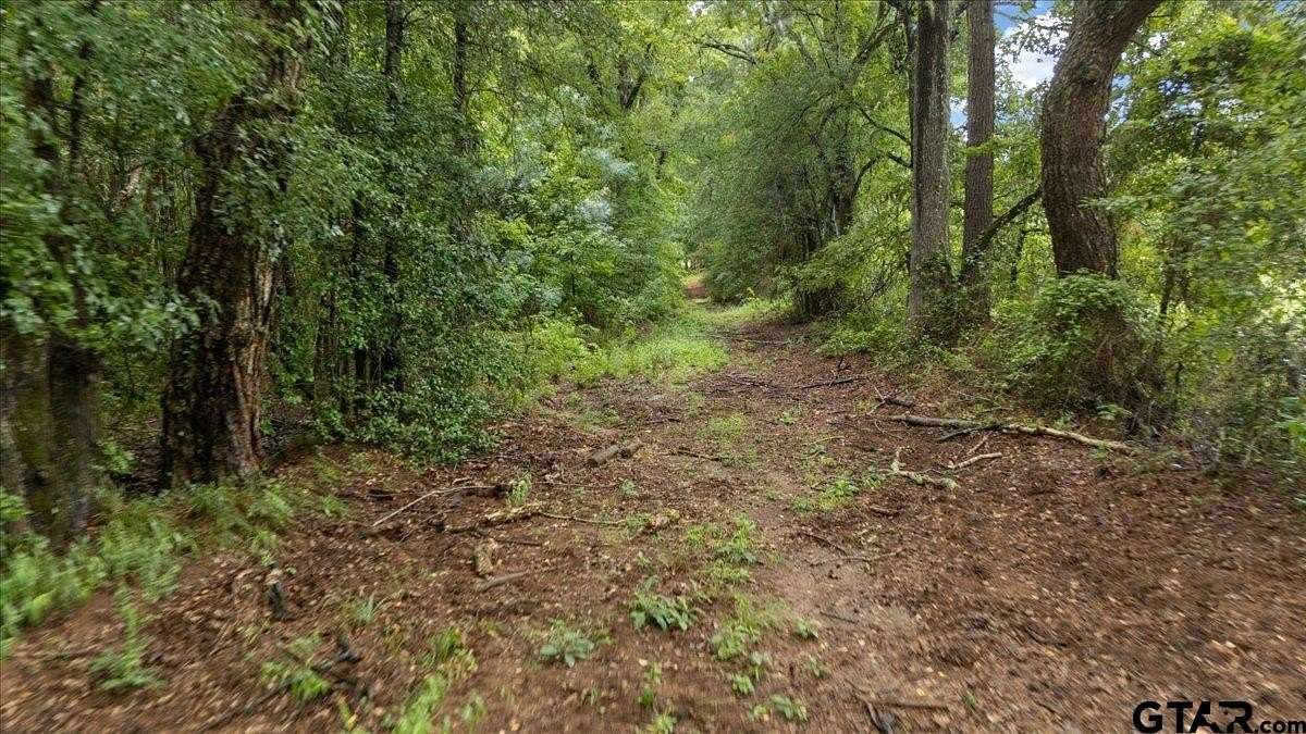 43.2 Acres of Recreational & Residential Land for Sale in Chandler, Texas