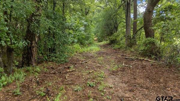 43.2 Acres of Recreational & Residential Land for Sale in Chandler, Texas