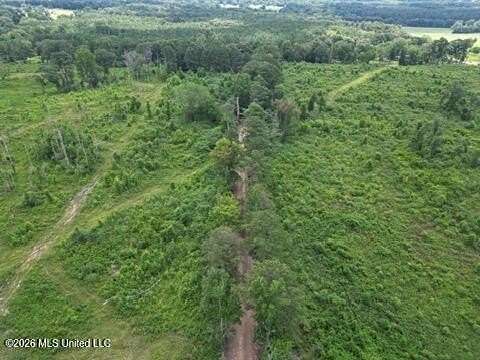 4.8 Acres of Residential Land for Sale in Mendenhall, Mississippi