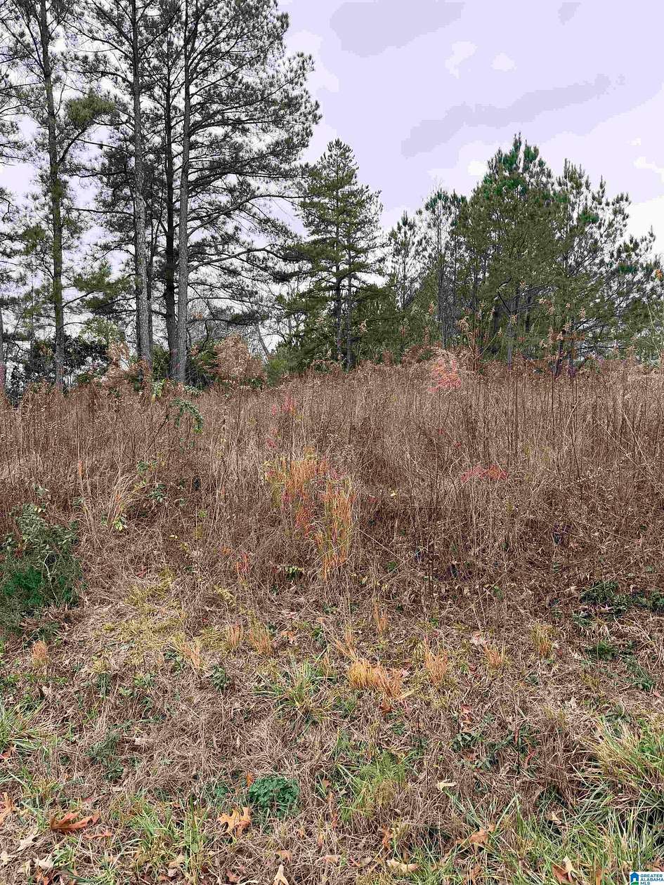 0.3 Acres of Residential Land for Sale in Hayden, Alabama