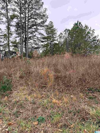 0.3 Acres of Residential Land for Sale in Hayden, Alabama