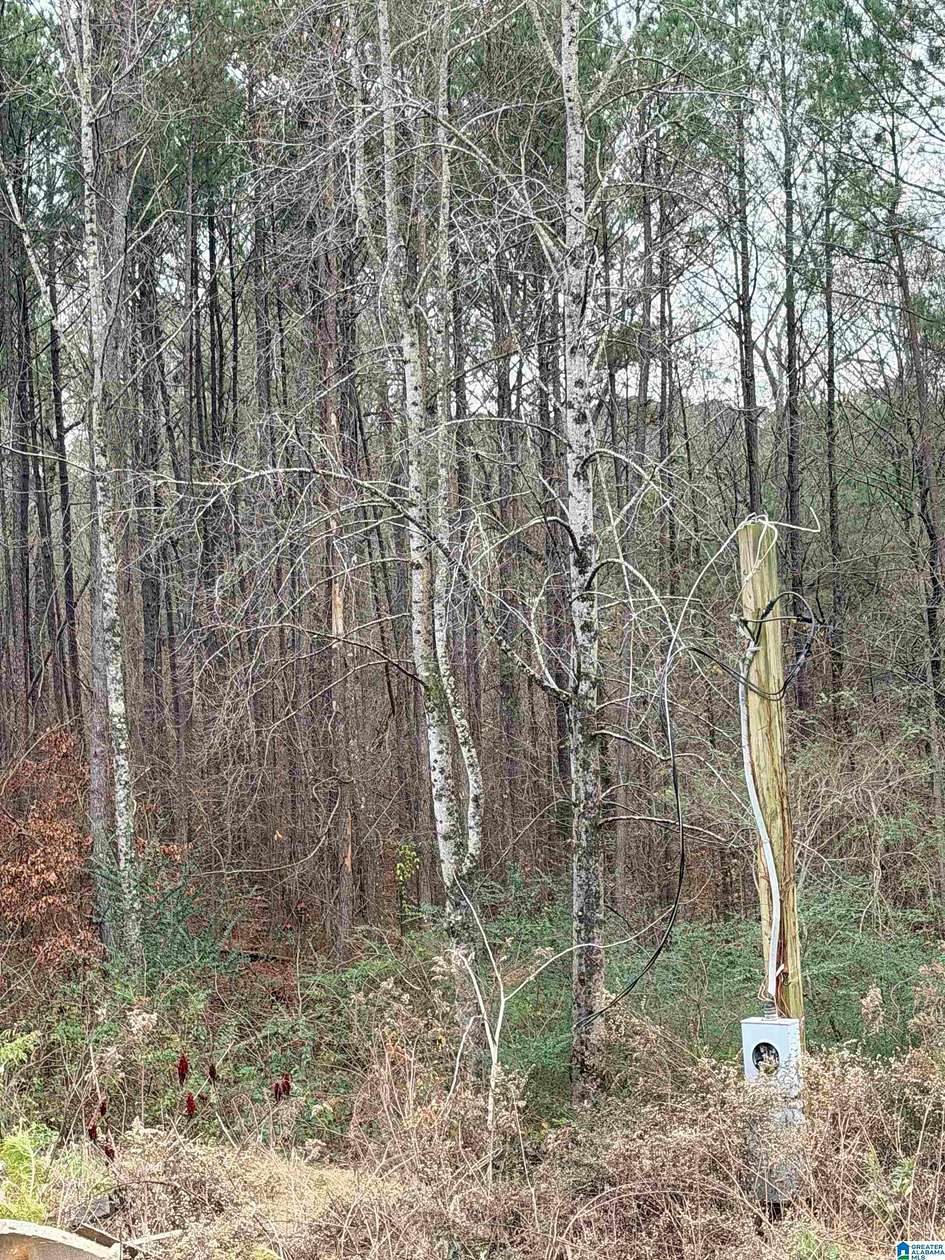 0.6 Acres of Land for Sale in Hayden, Alabama