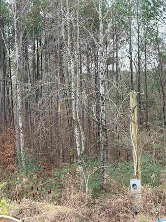 0.6 Acres of Land for Sale in Hayden, Alabama