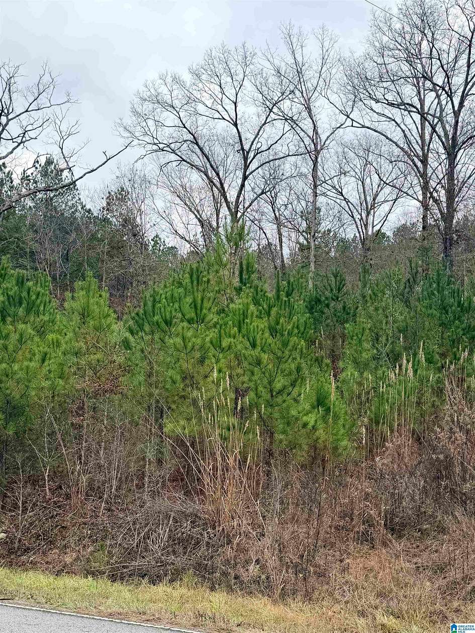 0.5 Acres of Residential Land for Sale in Hayden, Alabama