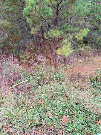 0.5 Acres of Residential Land for Sale in Hayden, Alabama