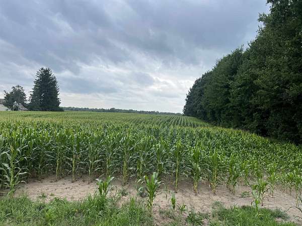 15 Acres of Land for Sale in Marathon City, Wisconsin