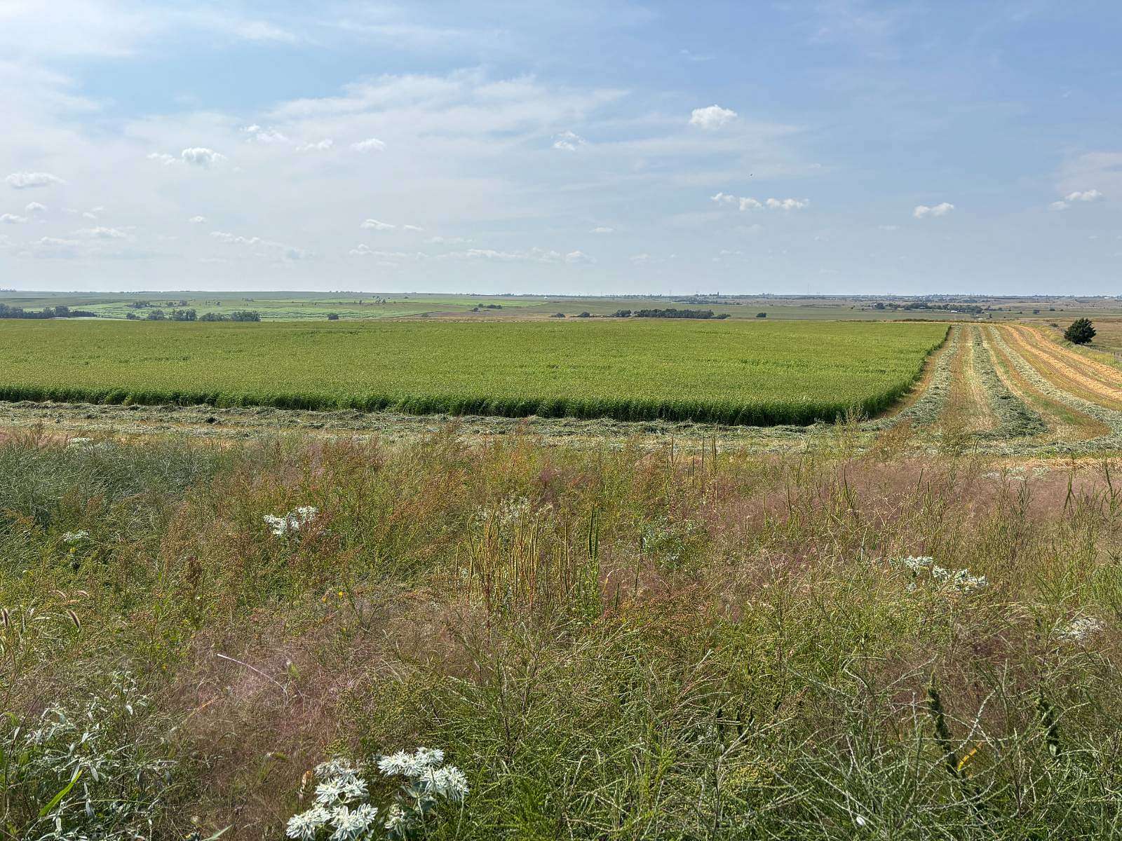 127 Acres of Land for Sale in North Platte, Nebraska