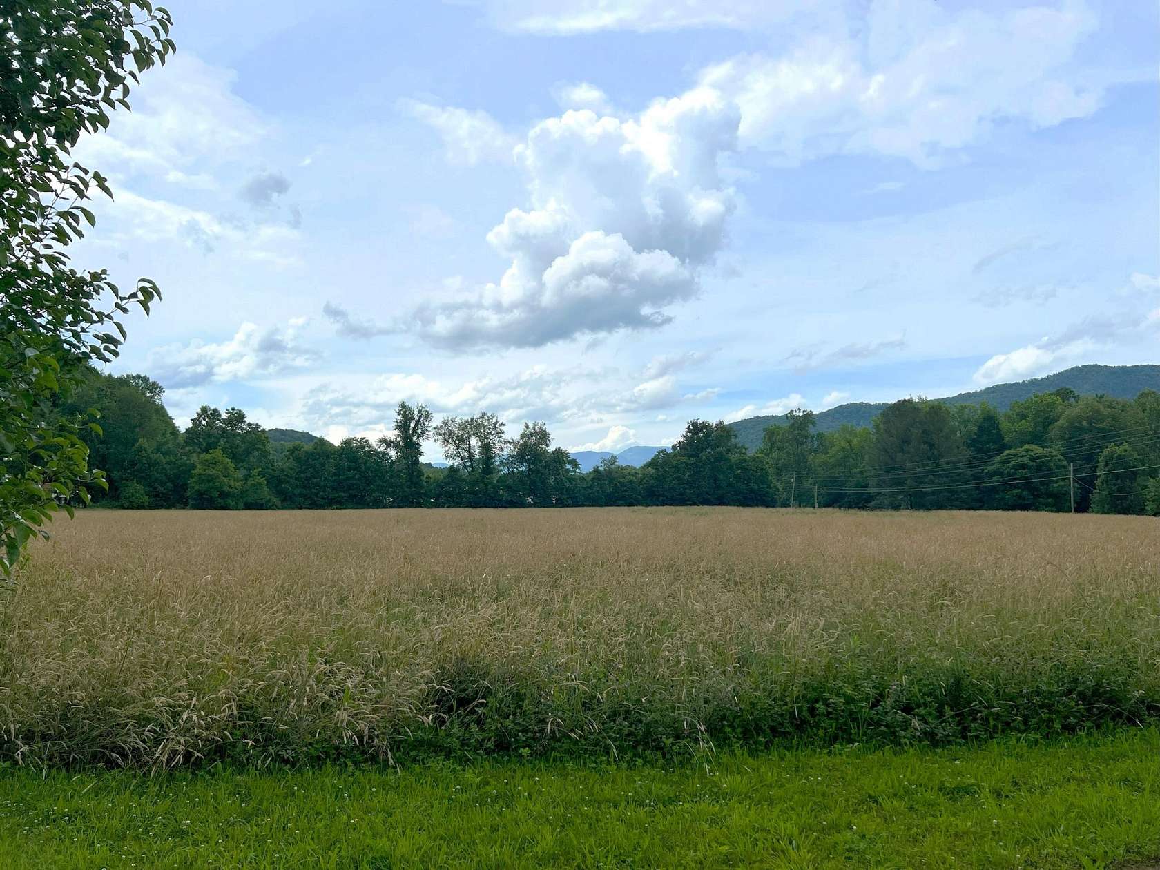9.26 Acres of Commercial Land for Sale in Cosby, Tennessee