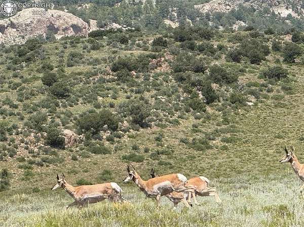 36 Acres of Land for Sale in Westcliffe, Colorado