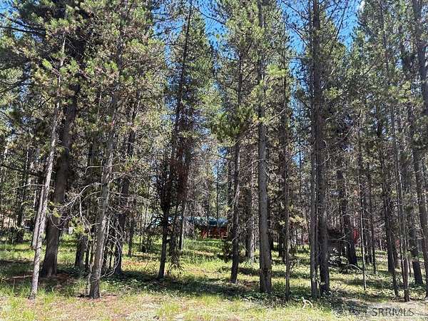 0.34 Acres of Residential Land for Sale in Island Park, Idaho